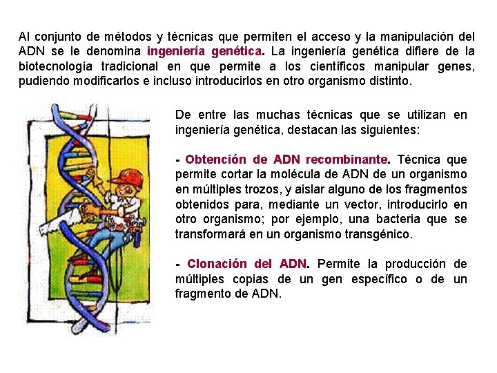 Al conjunto de métodos y técnicas que permiten el acceso y la manipulación del