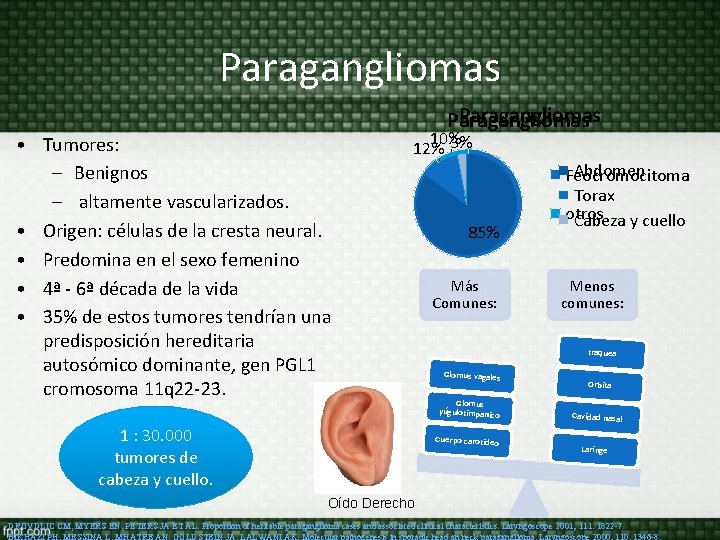 Paragangliomas • Tumores: – Benignos – altamente vascularizados. • Origen: células de la cresta Paragangliomas • Tumores: – Benignos – altamente vascularizados. • Origen: células de la cresta