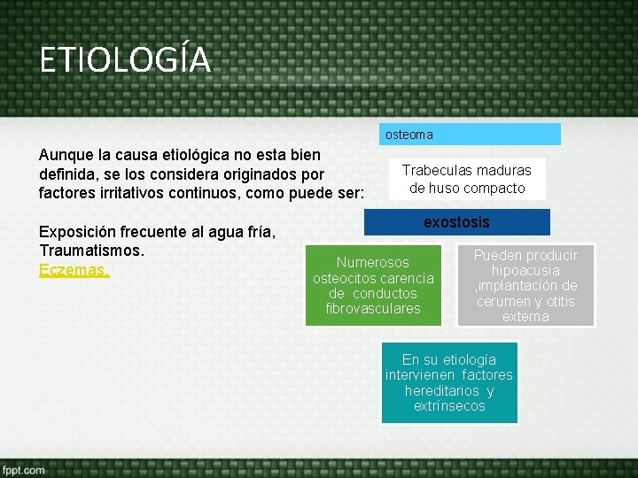 ETIOLOGÍA osteoma Aunque la causa etiológica no esta bien definida, se los considera originados ETIOLOGÍA osteoma Aunque la causa etiológica no esta bien definida, se los considera originados
