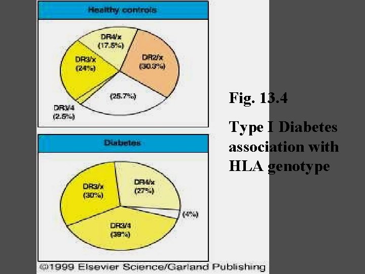 Fig. 13. 4 Type I Diabetes association with HLA genotype 