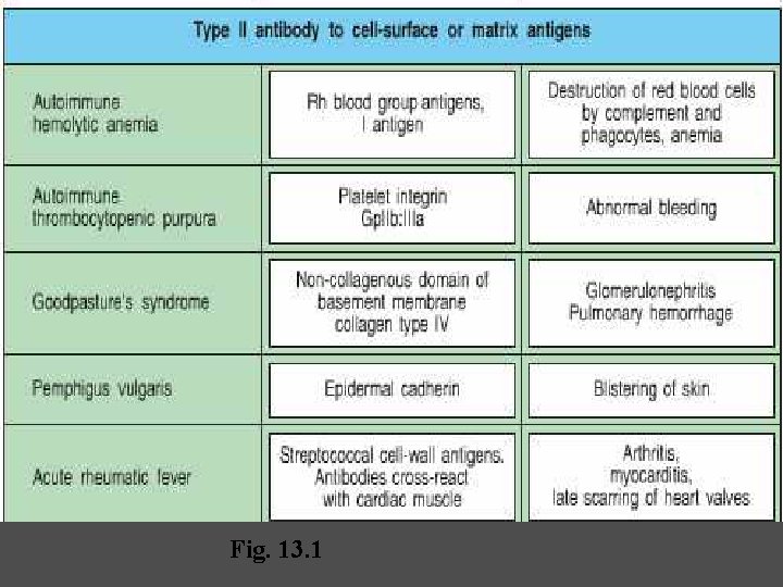 Fig. 13. 1 