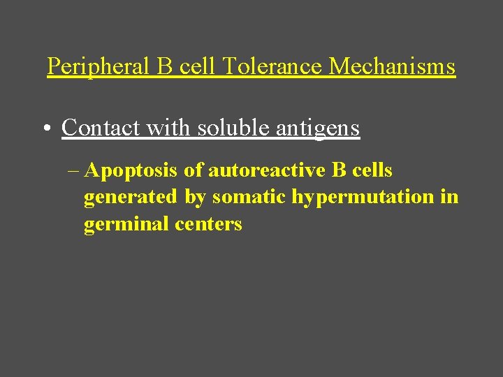 Peripheral B cell Tolerance Mechanisms • Contact with soluble antigens – Apoptosis of autoreactive