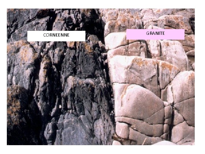 CORNEENNE GRANITE CORNEENNE GRANITE