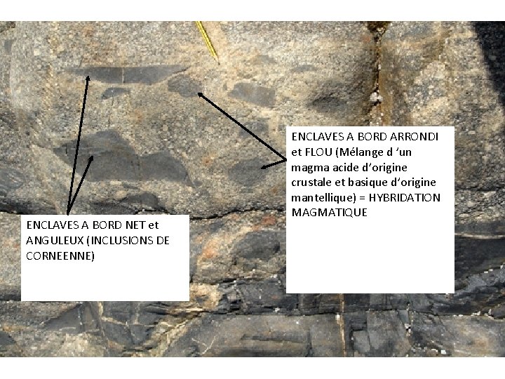 ENCLAVES A BORD NET et ANGULEUX (INCLUSIONS DE CORNEENNE) ENCLAVES A BORD ARRONDI et ENCLAVES A BORD NET et ANGULEUX (INCLUSIONS DE CORNEENNE) ENCLAVES A BORD ARRONDI et