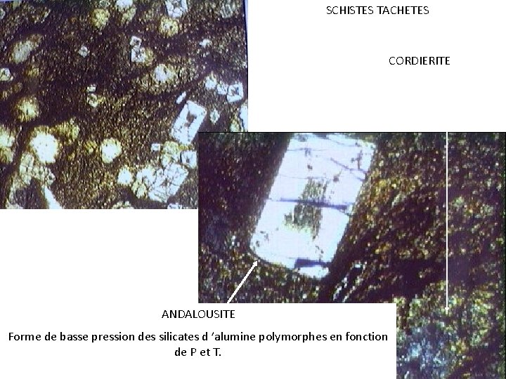 SCHISTES TACHETES CORDIERITE ANDALOUSITE Forme de basse pression des silicates d ’alumine polymorphes en SCHISTES TACHETES CORDIERITE ANDALOUSITE Forme de basse pression des silicates d ’alumine polymorphes en