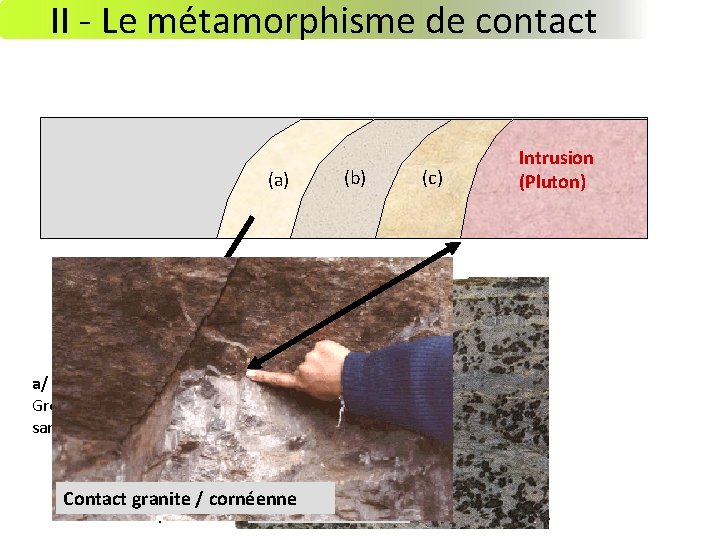 II - Le métamorphisme de contact (a) (b) (c) Intrusion (Pluton) a/ Schistes tachetés II - Le métamorphisme de contact (a) (b) (c) Intrusion (Pluton) a/ Schistes tachetés