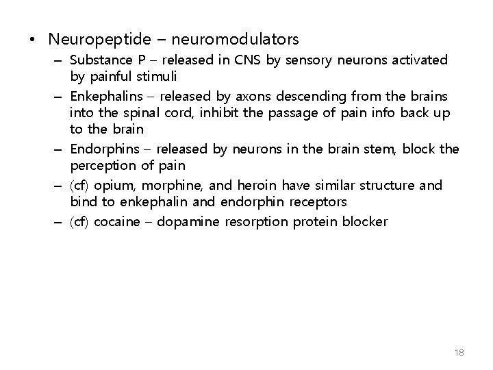  • Neuropeptide – neuromodulators – Substance P – released in CNS by sensory