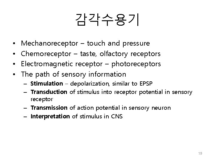 감각수용기 • • Mechanoreceptor – touch and pressure Chemoreceptor – taste, olfactory receptors Electromagnetic