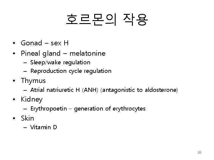 호르몬의 작용 • Gonad – sex H • Pineal gland – melatonine – Sleep/wake