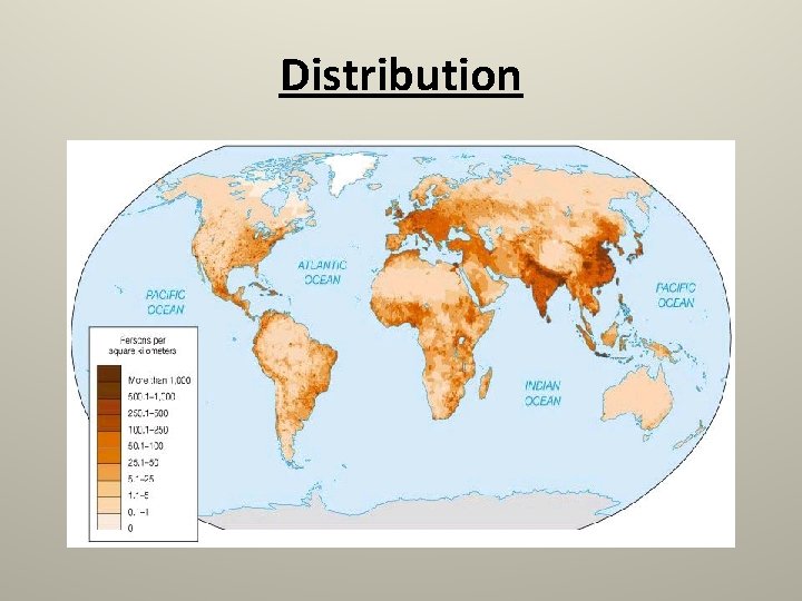 Distribution 