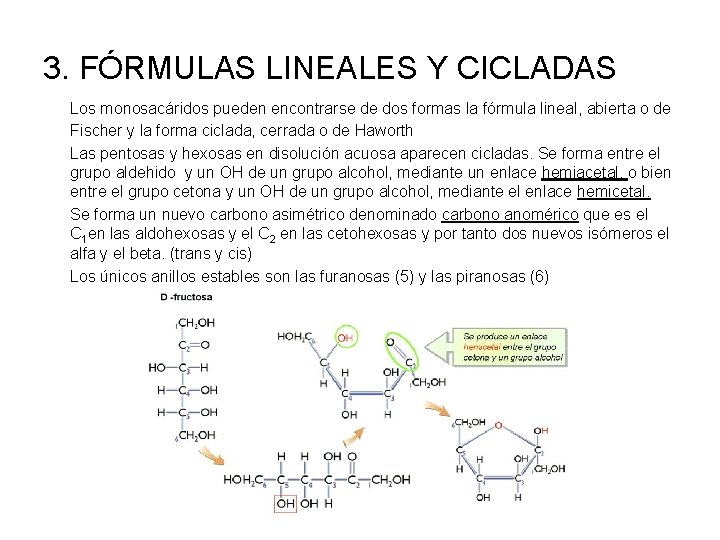 3. FÓRMULAS LINEALES Y CICLADAS Los monosacáridos pueden encontrarse de dos formas la fórmula