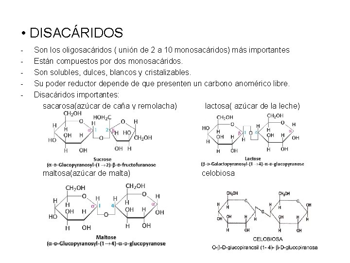  • DISACÁRIDOS - Son los oligosacáridos ( unión de 2 a 10 monosacáridos)