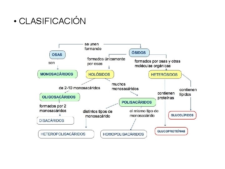  • CLASIFICACIÓN 