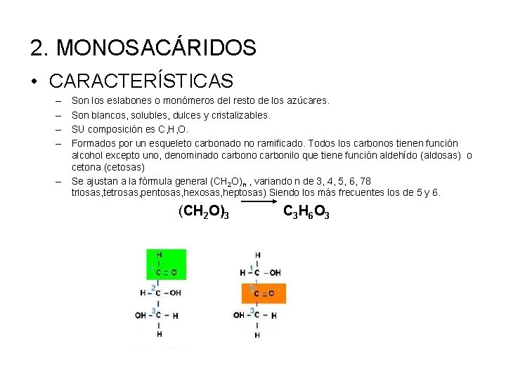 2. MONOSACÁRIDOS • CARACTERÍSTICAS – – – Son los eslabones o monómeros del resto