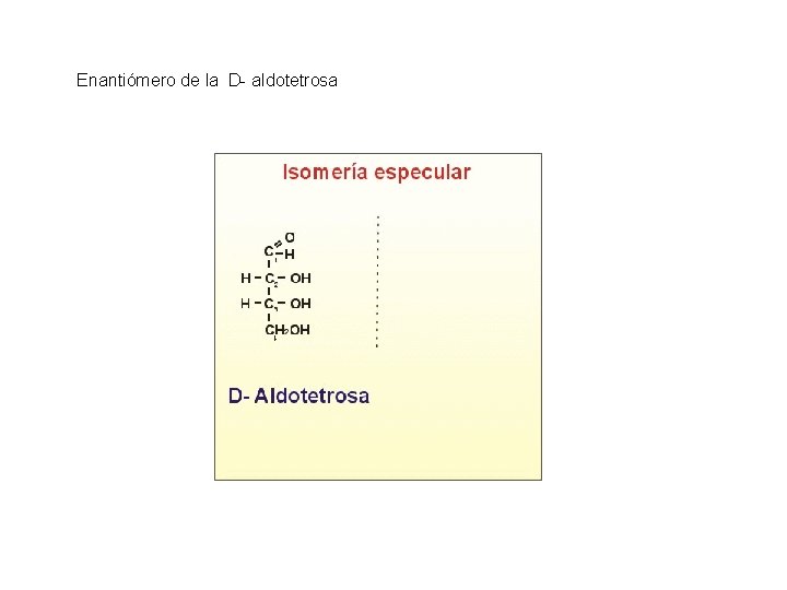 Enantiómero de la D- aldotetrosa 