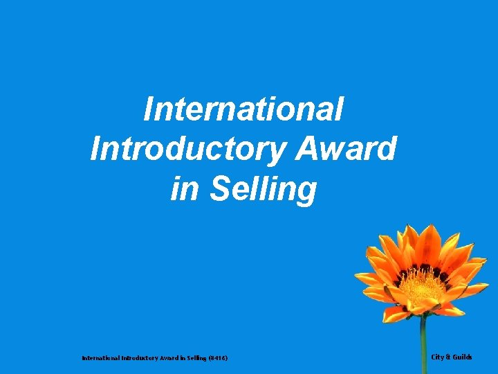 International Introductory Award in Selling (8416) City & Guilds 