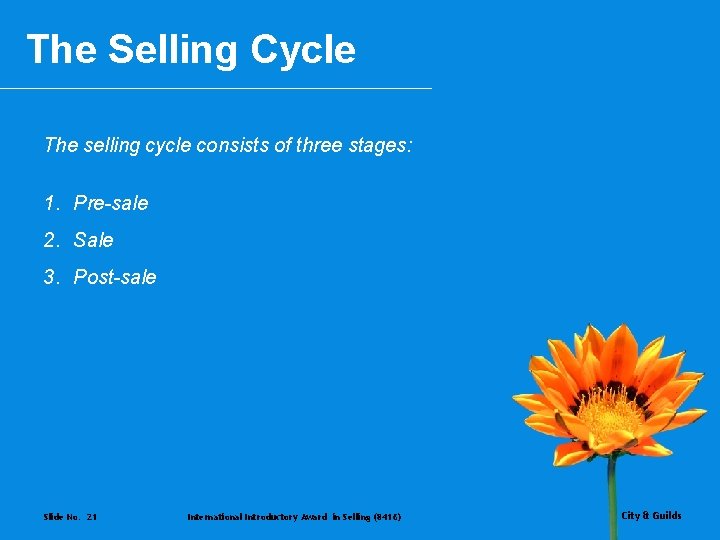 The Selling Cycle The selling cycle consists of three stages: 1. Pre-sale 2. Sale