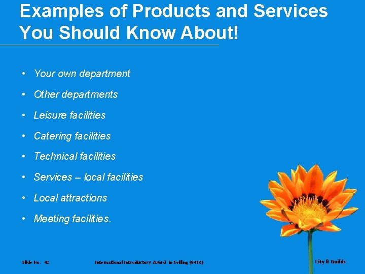 Examples of Products and Services You Should Know About! • Your own department •