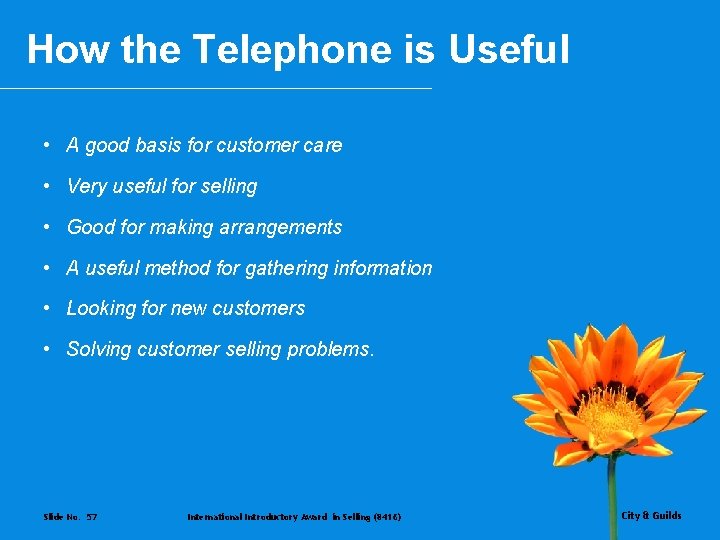 How the Telephone is Useful • A good basis for customer care • Very