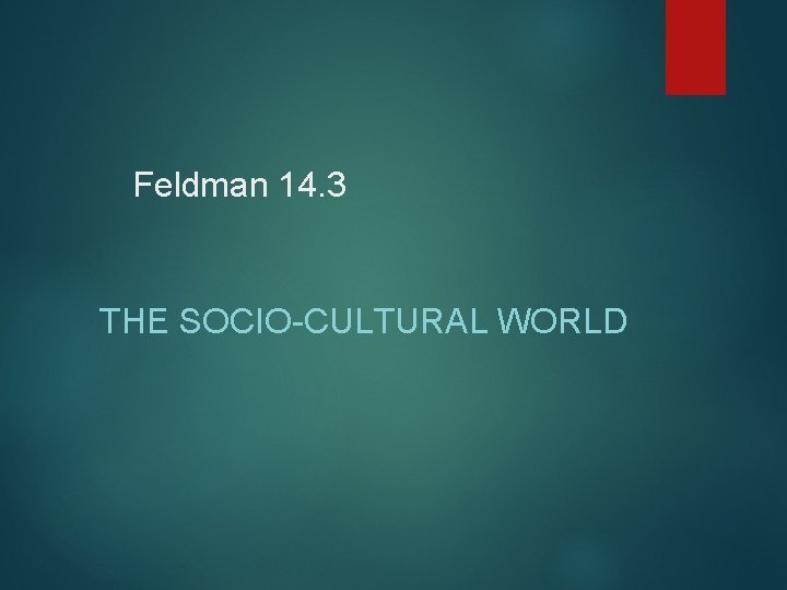 Feldman 14. 3 THE SOCIO-CULTURAL WORLD 