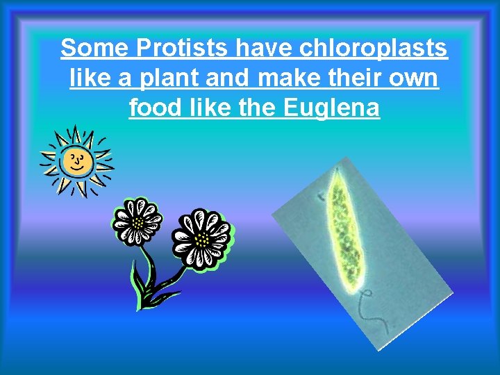 Some Protists have chloroplasts like a plant and make their own food like the