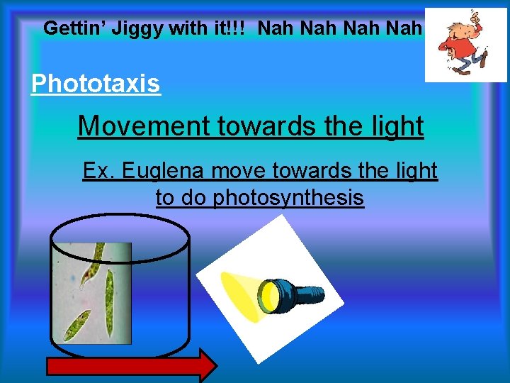 Gettin’ Jiggy with it!!! Nah Nah Phototaxis Movement towards the light Ex. Euglena move