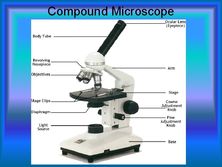 Compound Microscope 