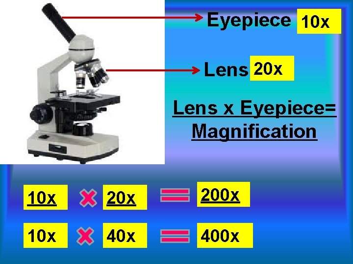 Eyepiece 10 x Lens 20 x Lens x Eyepiece= Magnification 10 x 200 x