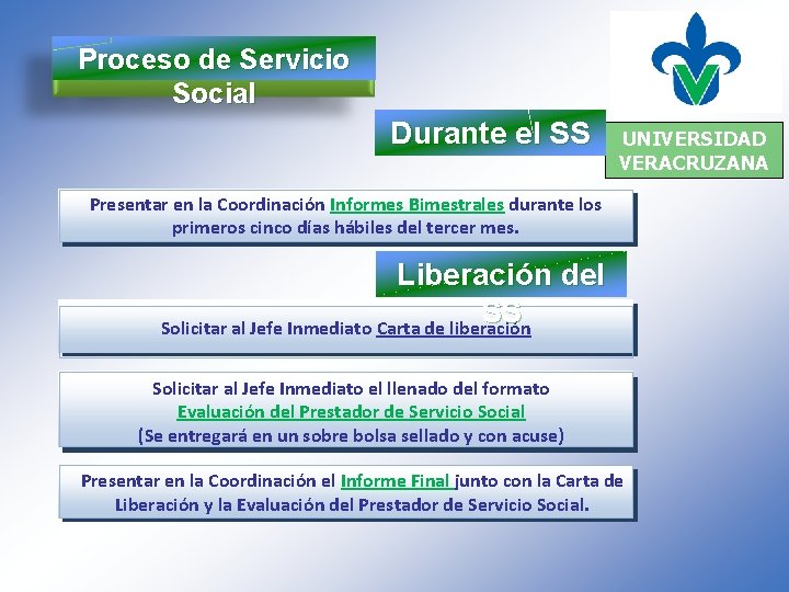 Proceso de Servicio Social Durante el SS UNIVERSIDAD VERACRUZANA Presentar en la Coordinación Informes