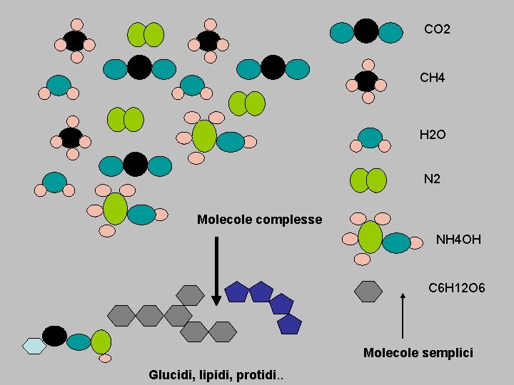 CO 2 CH 4 H 2 O N 2 Molecole complesse NH 4 OH