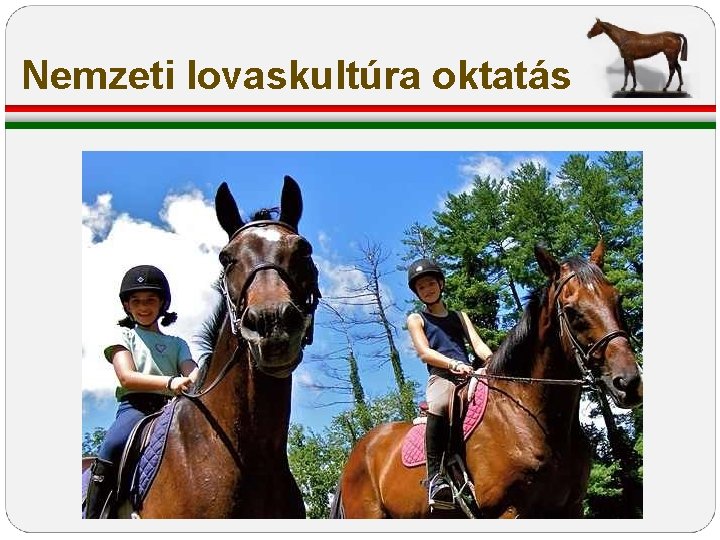 Nemzeti lovaskultúra oktatás Nemzeti lovaskultúra oktatás