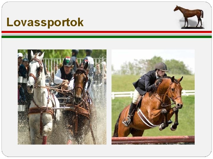 Lovassportok Lovassportok