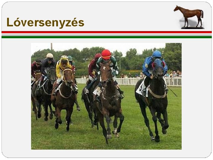 Lóversenyzés Lóversenyzés