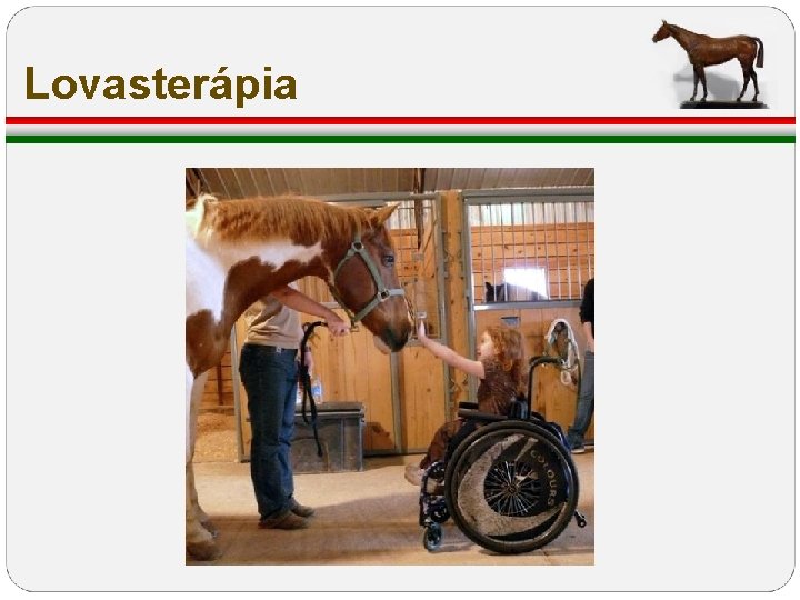 Lovasterápia Lovasterápia