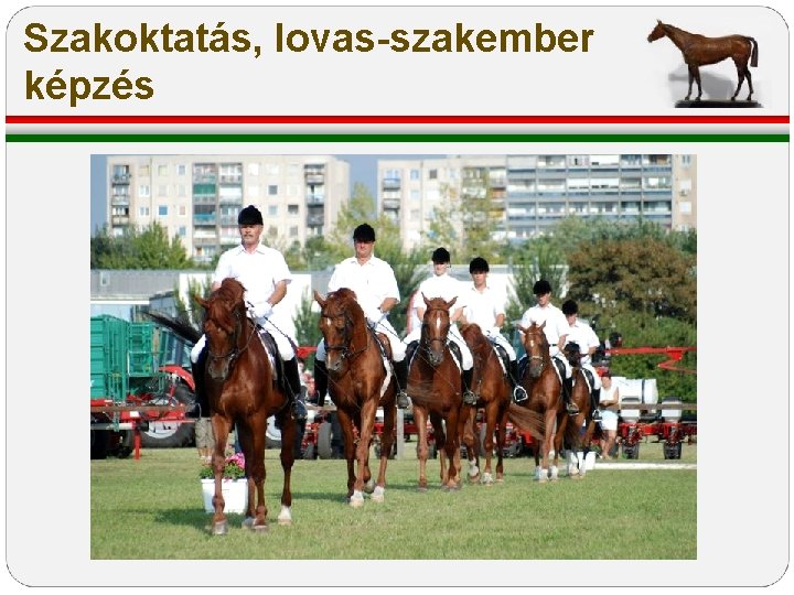 Szakoktatás, lovas-szakember képzés Szakoktatás, lovas-szakember képzés