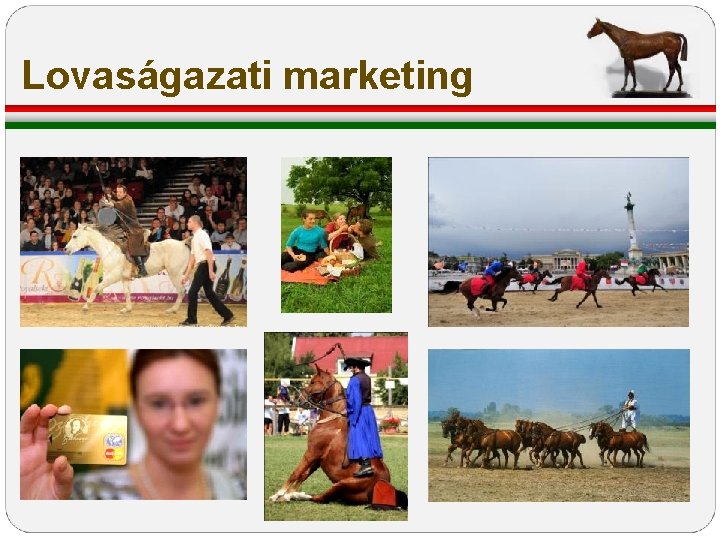 Lovaságazati marketing Lovaságazati marketing