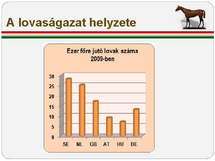 A lovaságazat helyzete A lovaságazat helyzete