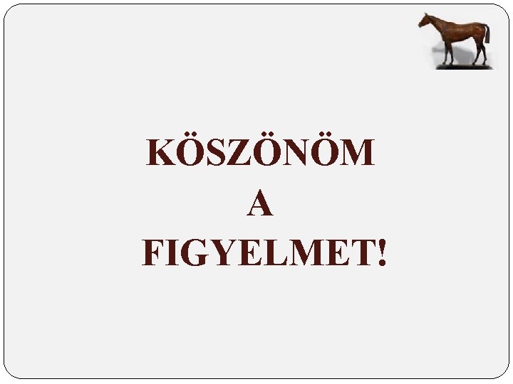 KÖSZÖNÖM A FIGYELMET! KÖSZÖNÖM A FIGYELMET!
