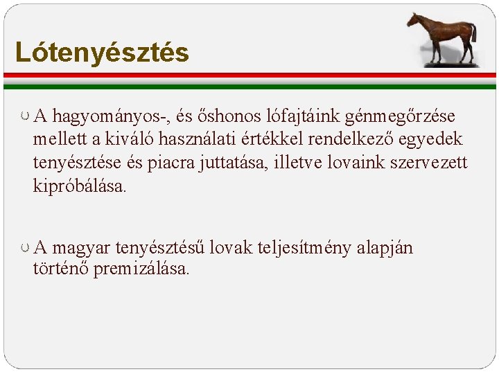 Lótenyésztés A hagyományos-, és őshonos lófajtáink génmegőrzése mellett a kiváló használati értékkel rendelkező egyedek Lótenyésztés A hagyományos-, és őshonos lófajtáink génmegőrzése mellett a kiváló használati értékkel rendelkező egyedek