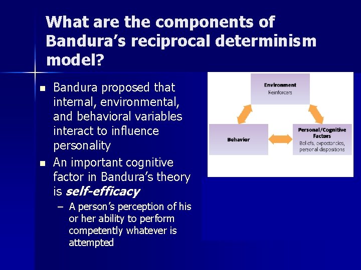 What are the components of Bandura’s reciprocal determinism model? n n Bandura proposed that