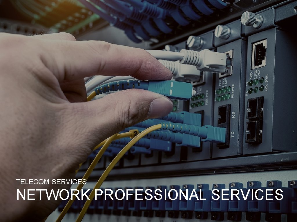 TELECOM SERVICES NETWORK PROFESSIONAL SERVICES 
