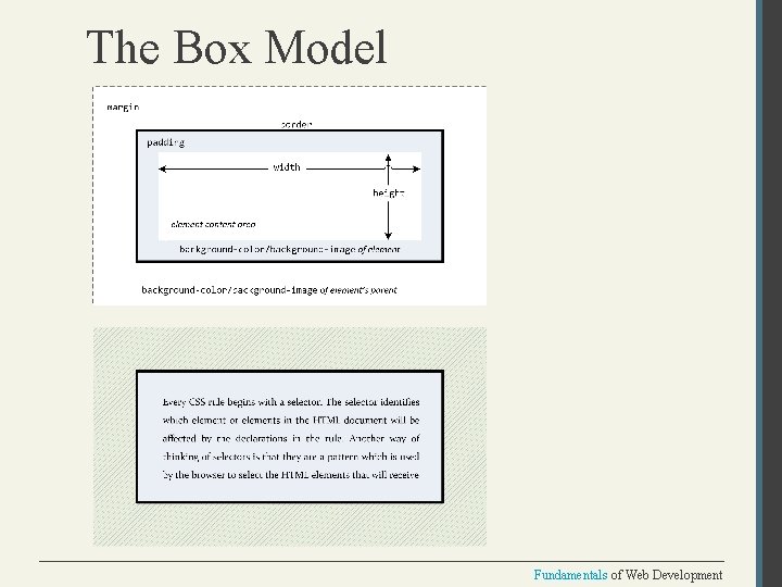 The Box Model Fundamentals of Web Development 