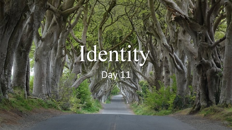 Identity Day 11 