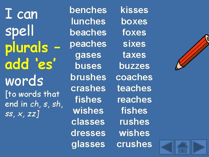 benches kisses I can lunches boxes spell beaches foxes peaches sixes plurals – gases