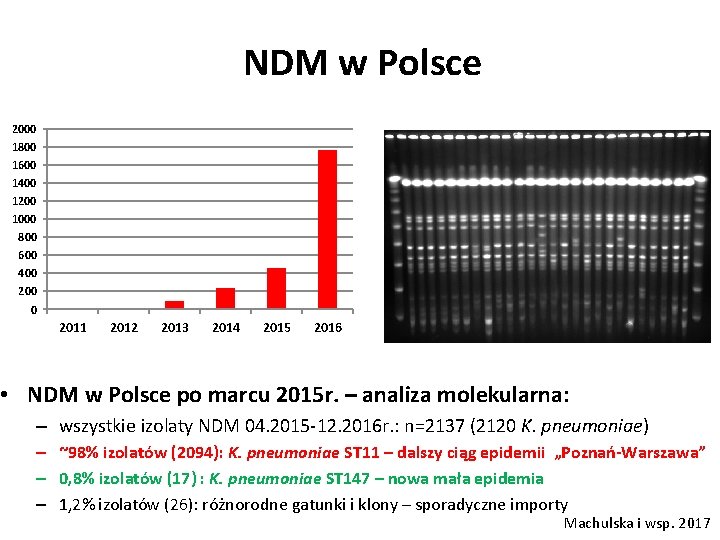 NDM w Polsce 2000 1800 1600 1400 1200 1000 800 600 400 200 0