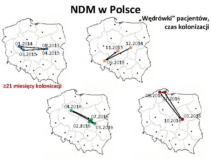 NDM w Polsce „Wędrówki” pacjentów, czas kolonizacji 01. 2014 03. 2015 08. 2013 04.