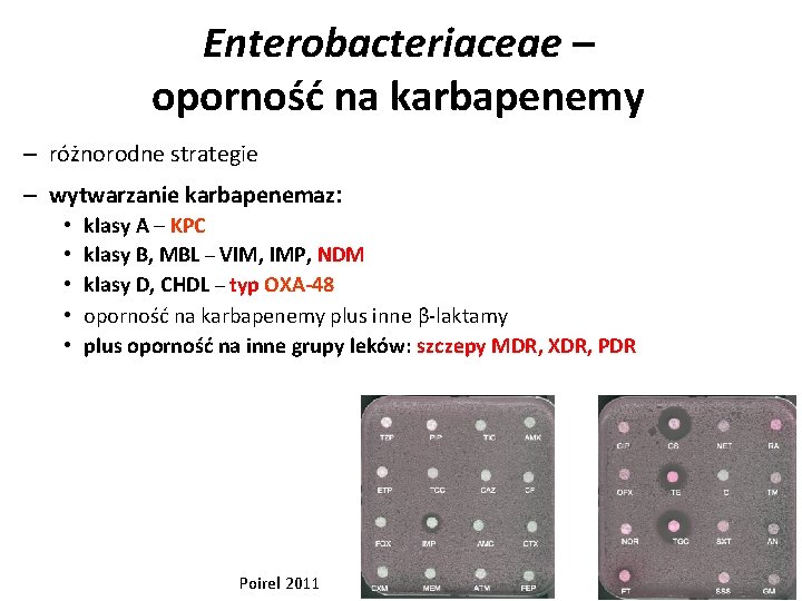 Enterobacteriaceae – oporność na karbapenemy – różnorodne strategie – wytwarzanie karbapenemaz: • • •