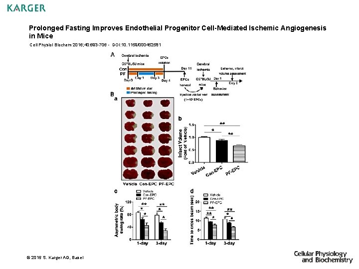 Prolonged Fasting Improves Endothelial Progenitor Cell-Mediated Ischemic Angiogenesis in Mice Cell Physiol Biochem 2016;