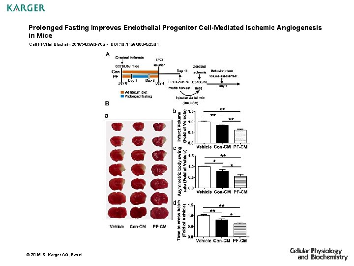 Prolonged Fasting Improves Endothelial Progenitor Cell-Mediated Ischemic Angiogenesis in Mice Cell Physiol Biochem 2016;