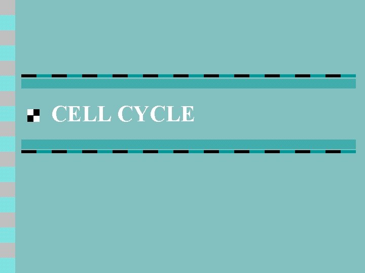 CELL CYCLE 